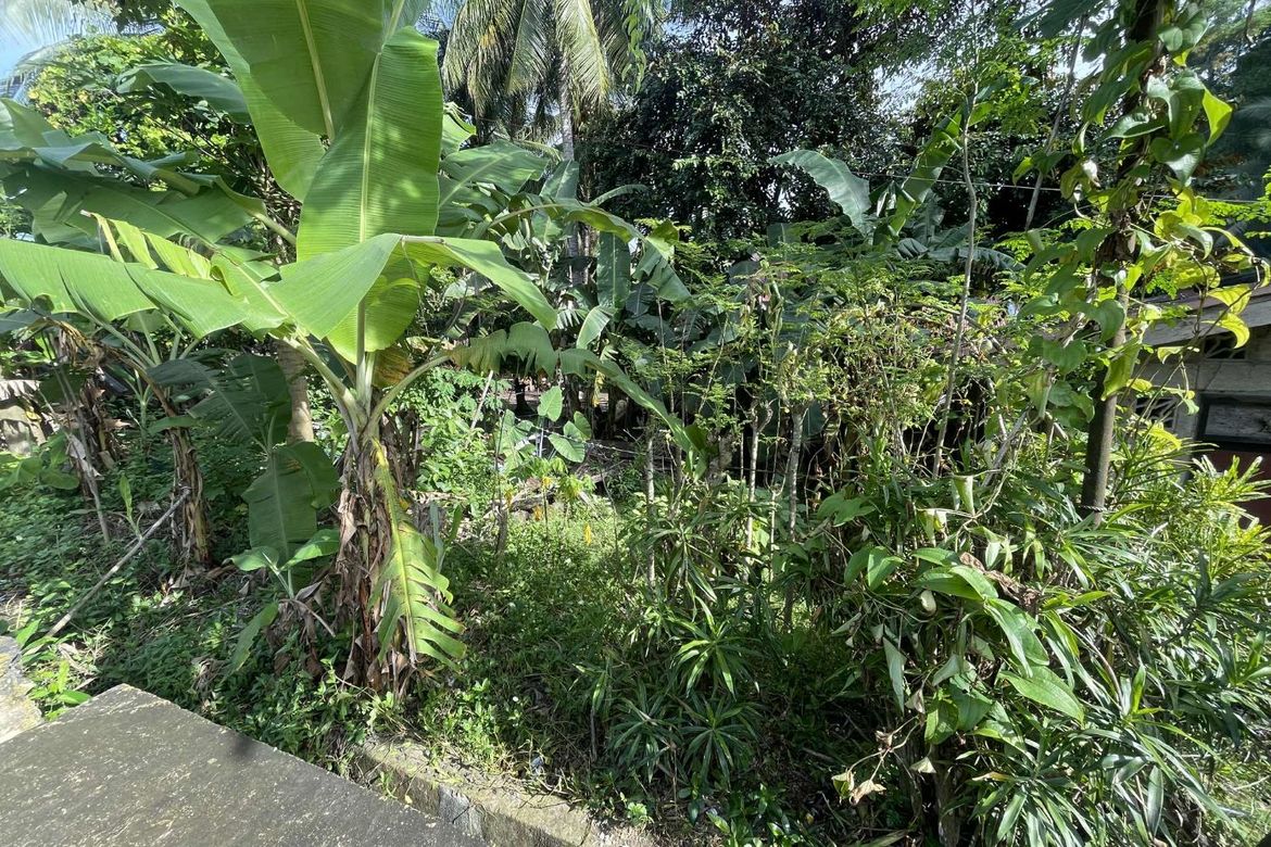 Land for Sale in Banban, Siquijor, Siquijor – photo 2
