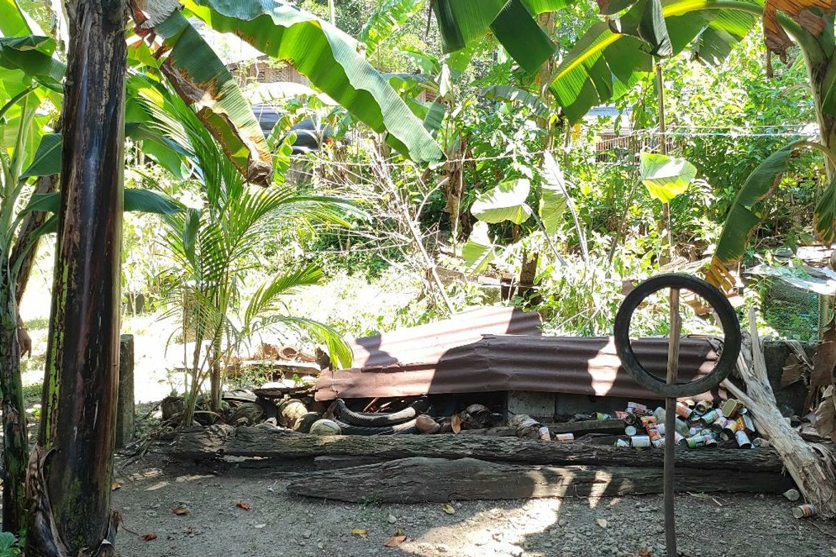 Land for Sale in Banban, Siquijor, Siquijor – photo 3
