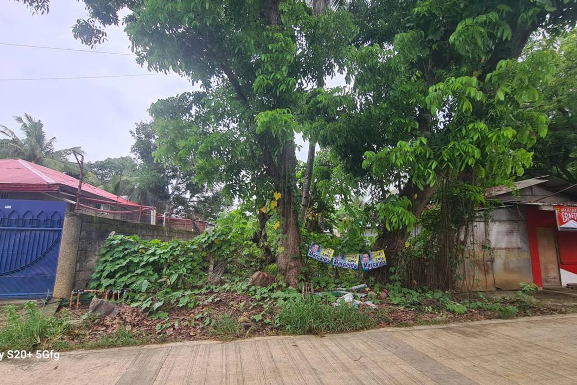 Land for Sale in Bancao-Bancao, Puerto Princesa, Palawan