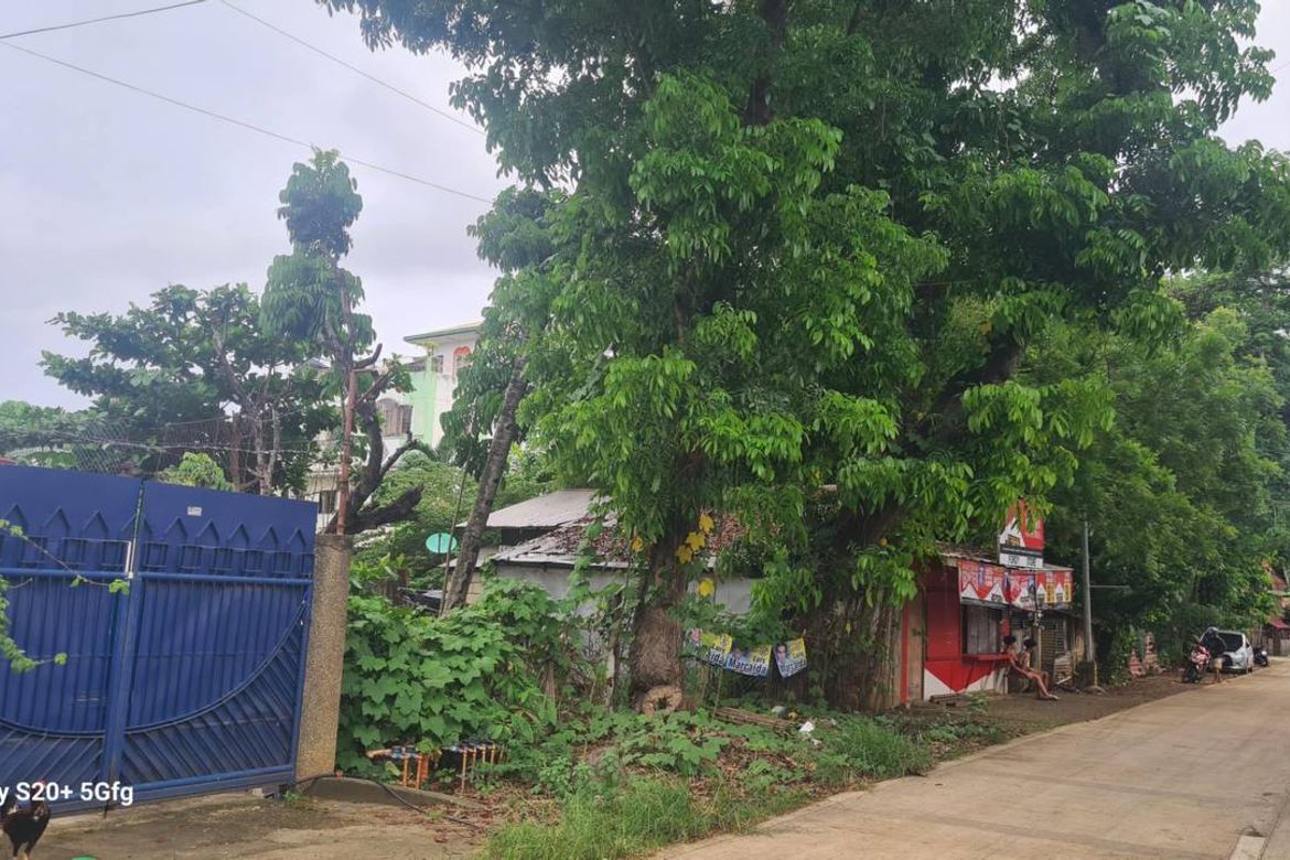 Land for Sale in Bancao-Bancao, Puerto Princesa, Palawan – photo 3