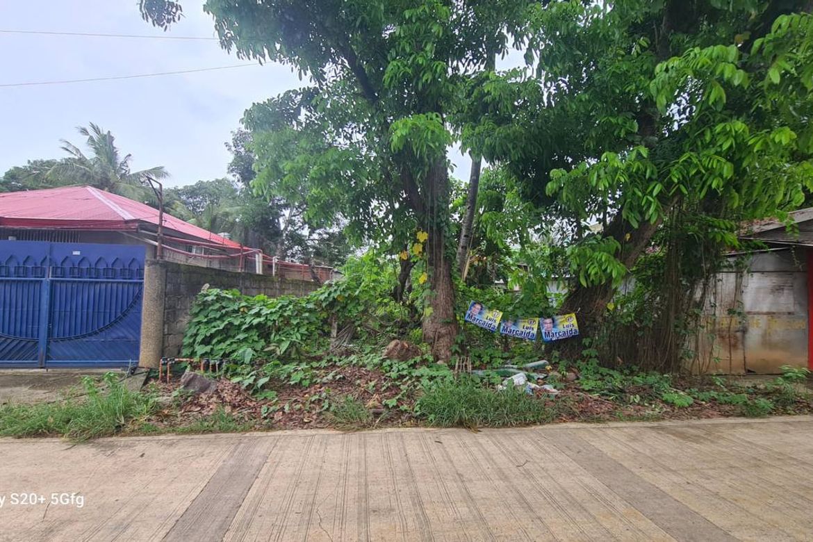 Land for Sale in Bancao-Bancao, Puerto Princesa, Palawan – photo 4