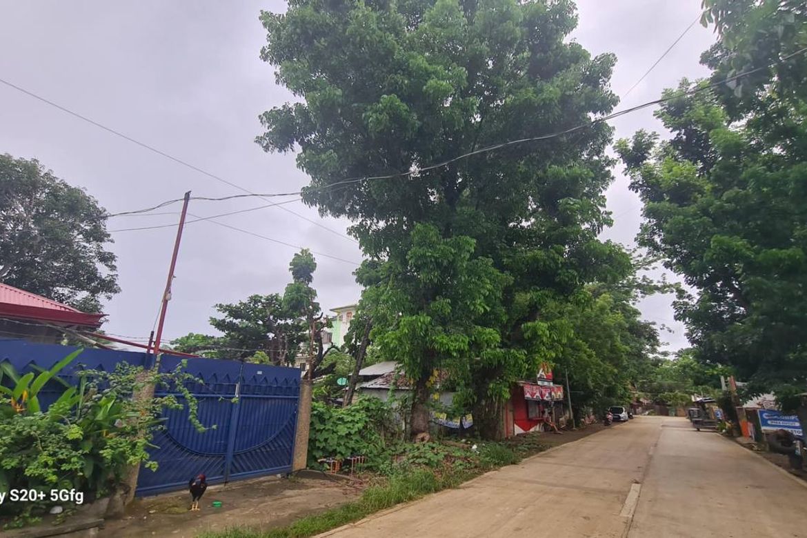 Land for Sale in Bancao-Bancao, Puerto Princesa, Palawan – photo 5