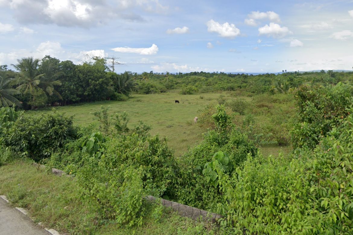 Land for Sale in Bancasan, San Remigio, Cebu