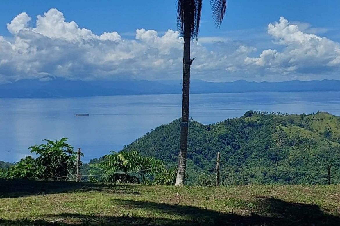Land for Sale in Bandera, Samal, Davao del Norte – photo 2