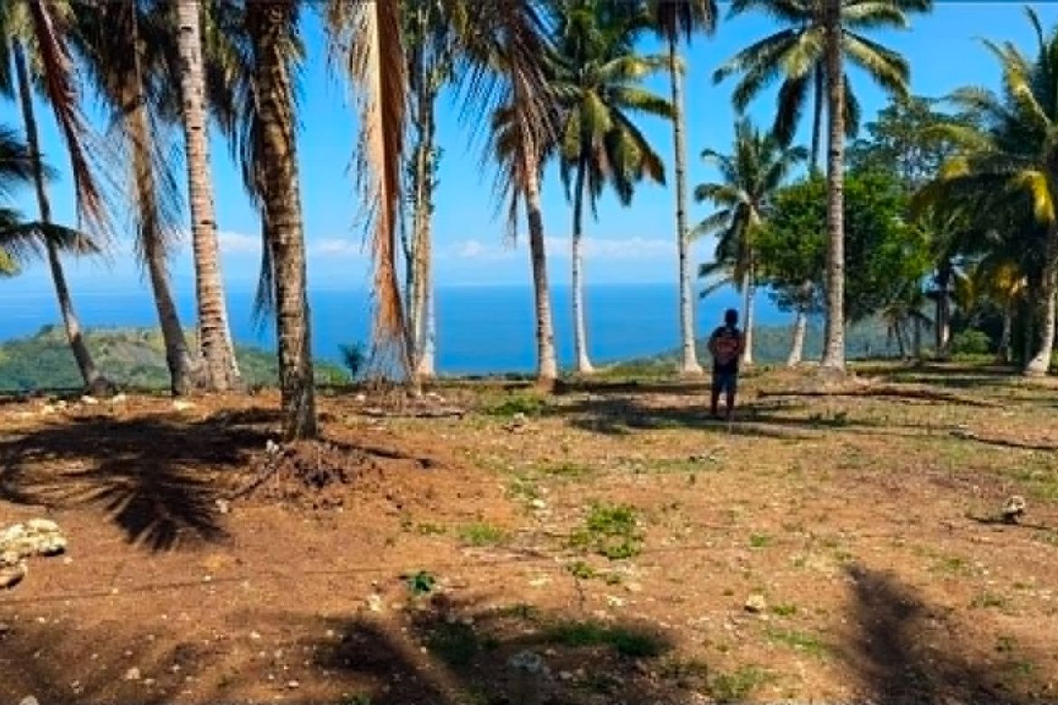 Land for Sale in Bandera, Samal, Davao del Norte – photo 3