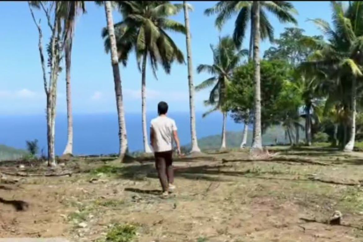 Land for Sale in Bandera, Samal, Davao del Norte – photo 5