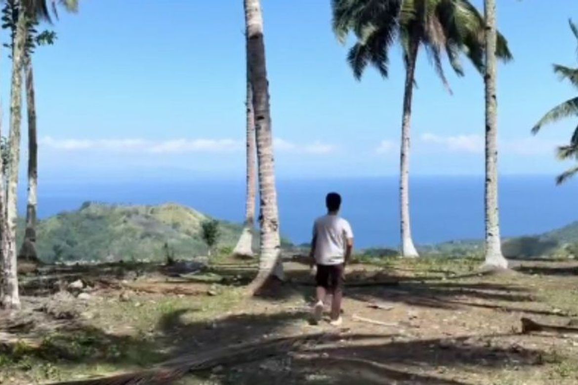 Land for Sale in Bandera, Samal, Davao del Norte – photo 6