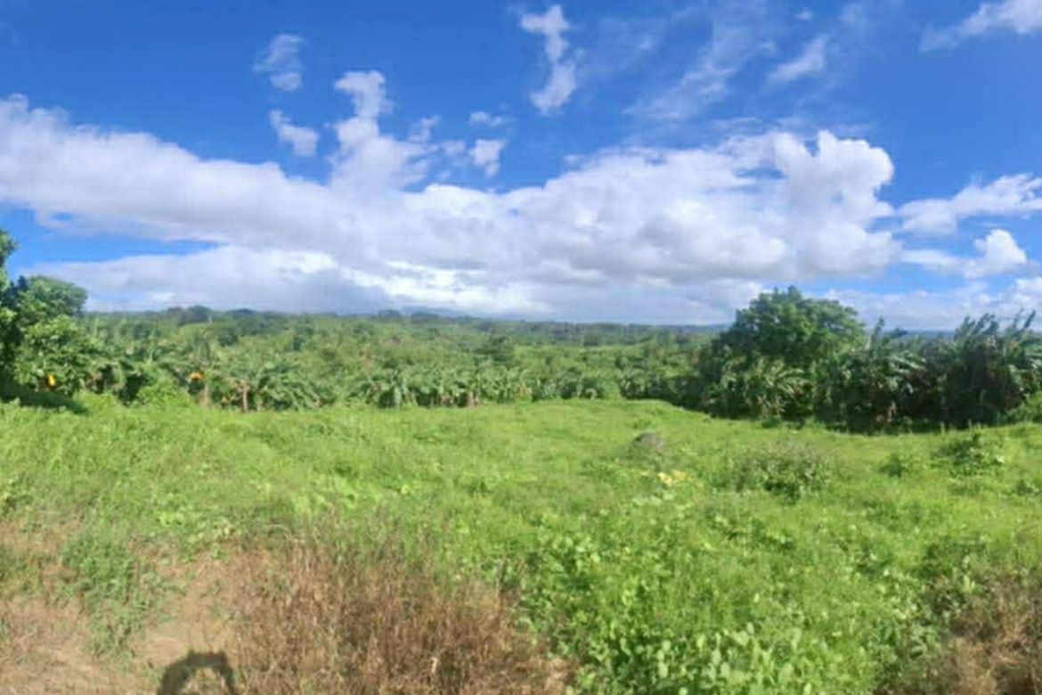 Land for Sale in Banga, Talisay, Batangas – photo 2