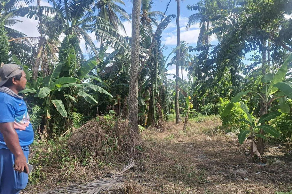 Land for Sale in Banga, Talisay, Batangas – photo 3