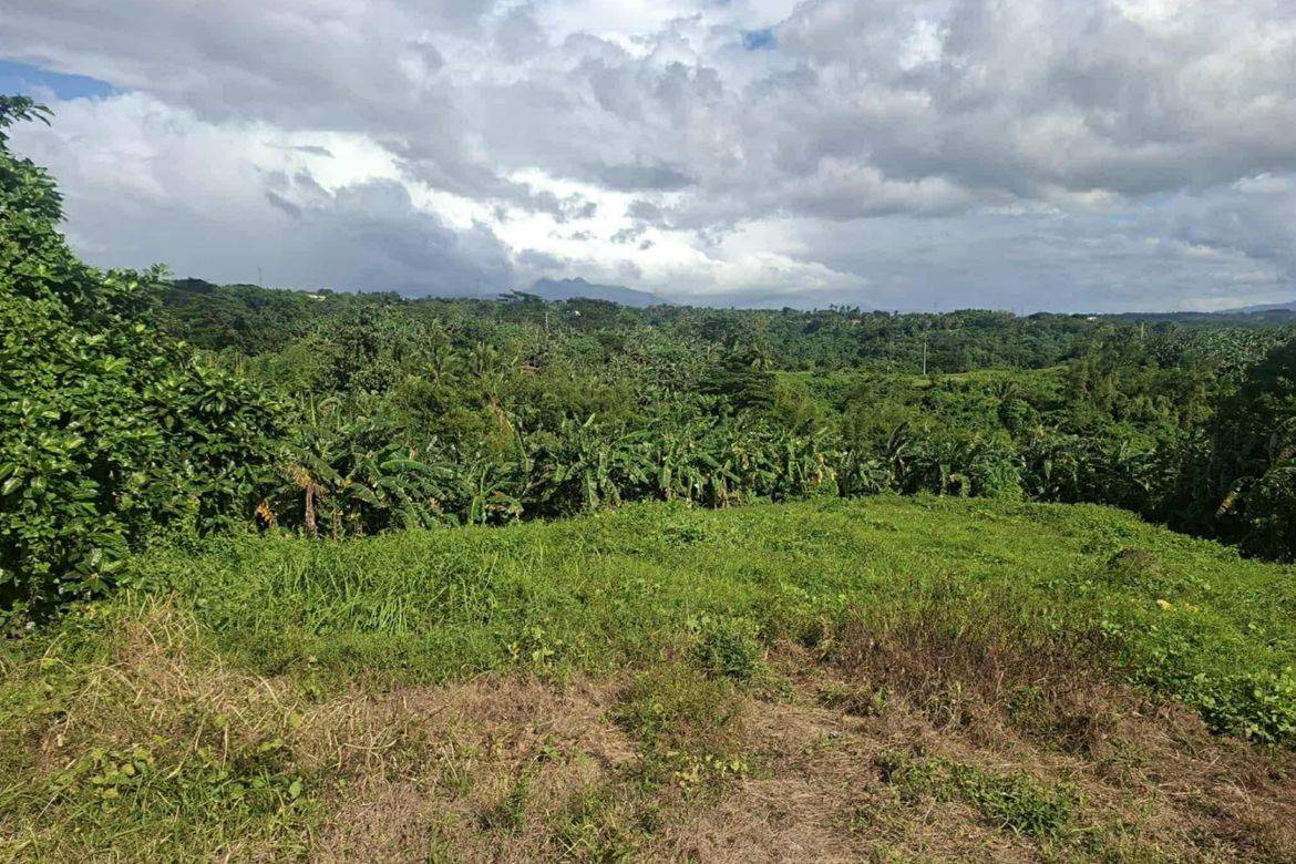 Land for Sale in Banga, Talisay, Batangas – photo 4