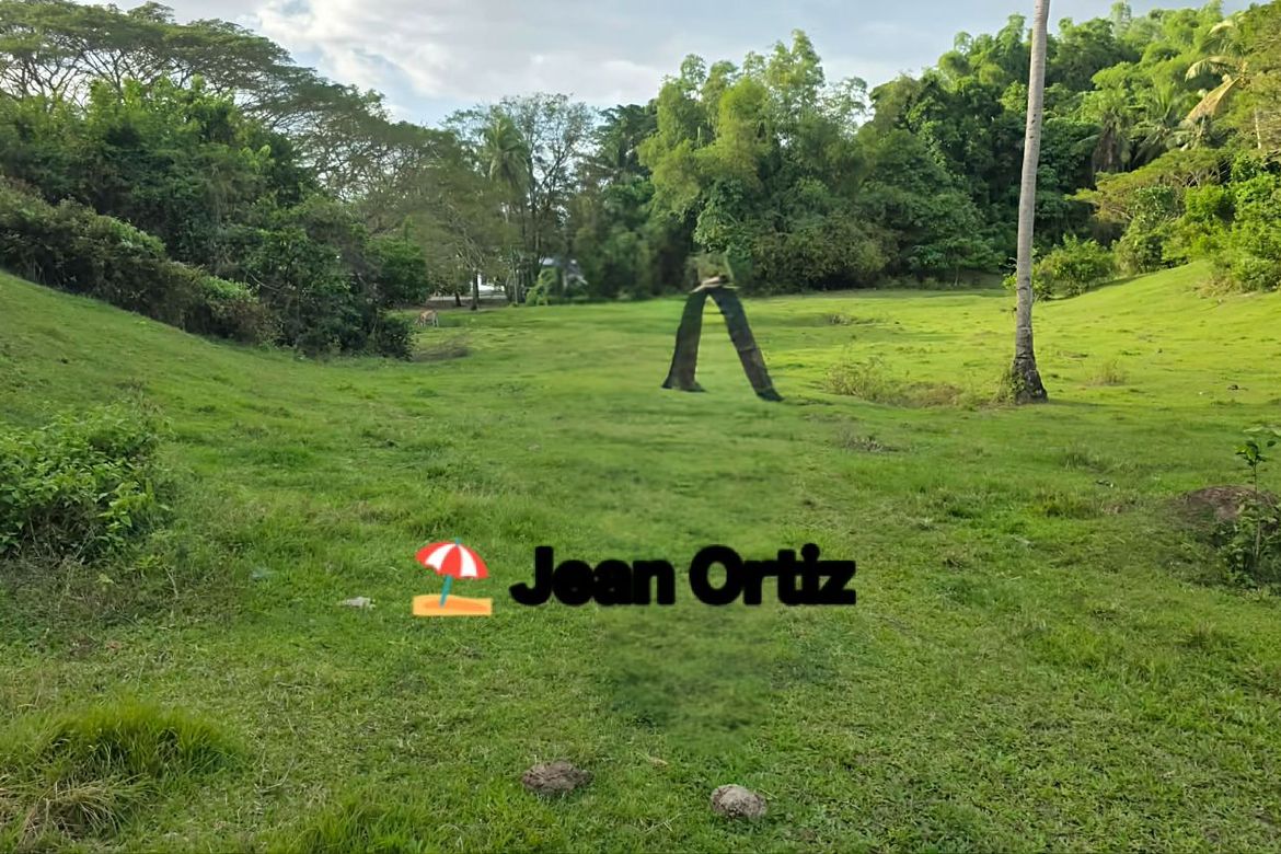 Land for Sale in Bangbang, Gasan, Marinduque – photo 2