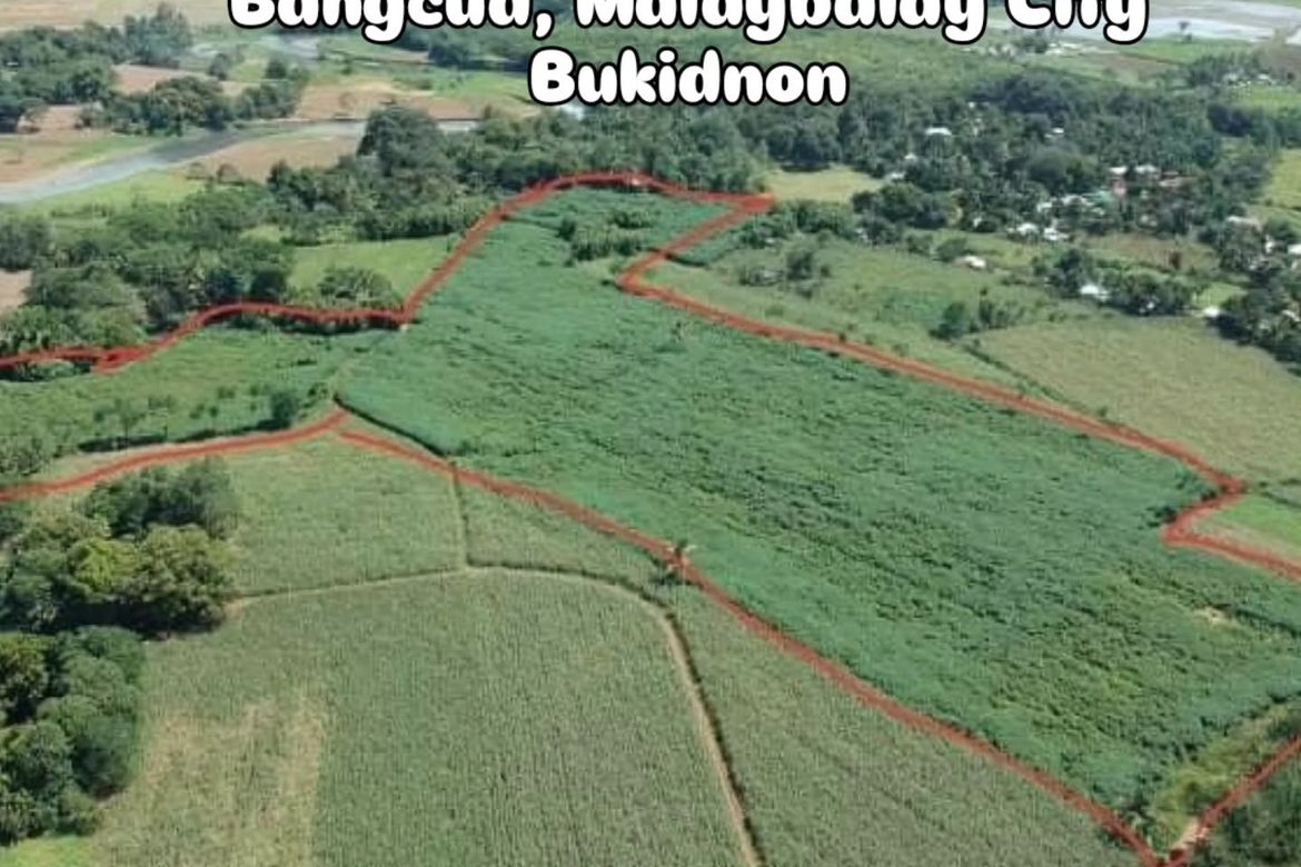 Land for Sale in Bangcud, Malaybalay, Bukidnon