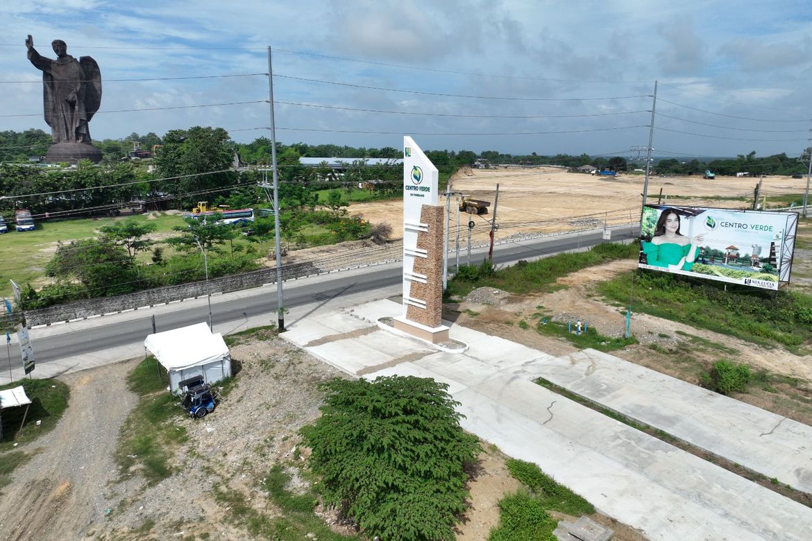 Land for Sale in Bani, Bayambang, Pangasinan – photo 4