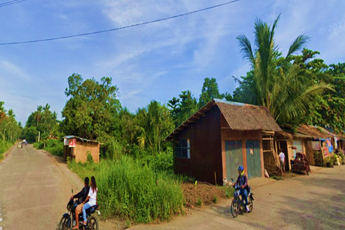 Land for Sale in Banica, Roxas, Capiz – photo 5