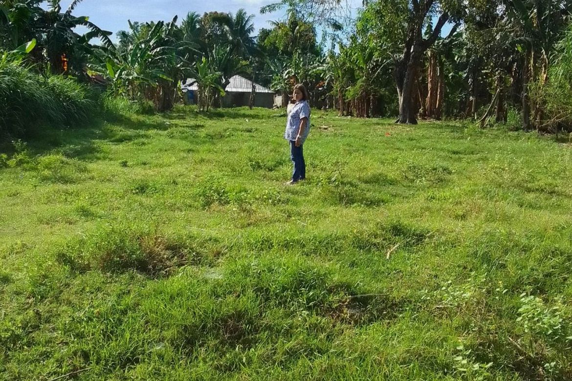 Land for Sale in Banilad, Bacong, Negros Oriental