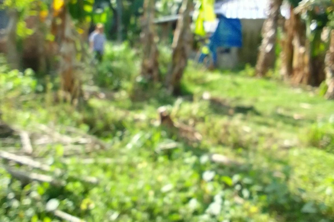Land for Sale in Banilad, Bacong, Negros Oriental – photo 7