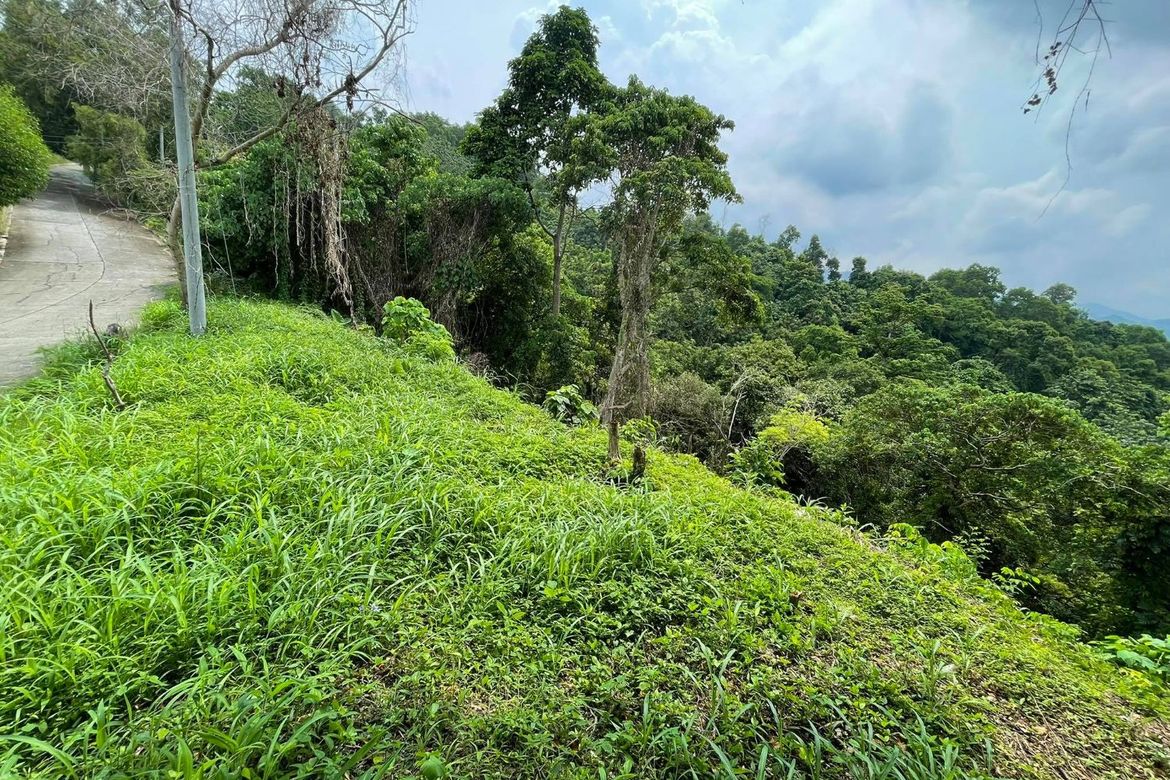 Land for Sale in Banilad, Cebu City, Cebu – photo 2