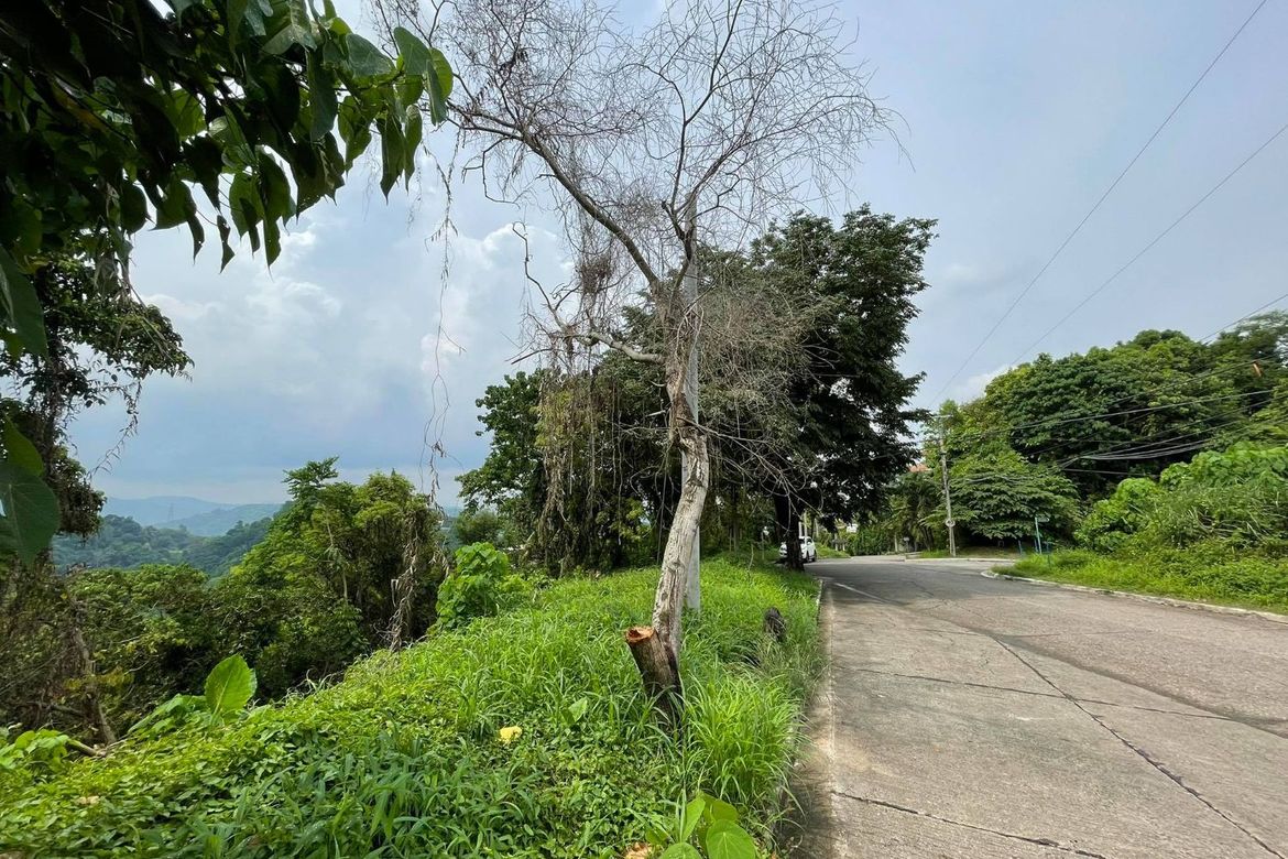 Land for Sale in Banilad, Cebu City, Cebu – photo 4