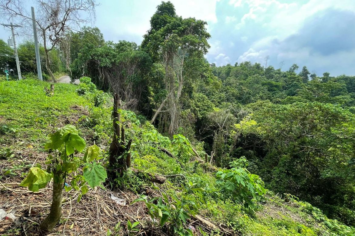 Land for Sale in Banilad, Cebu City, Cebu – photo 7