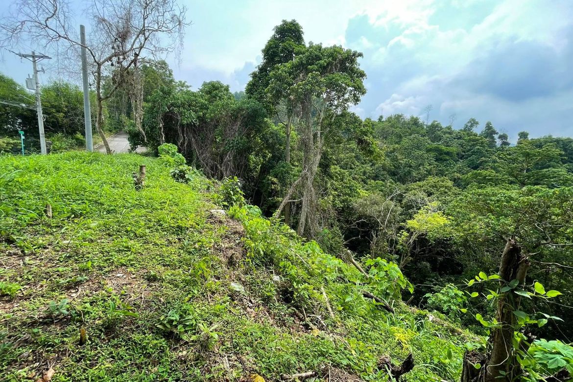 Land for Sale in Banilad, Cebu City, Cebu – photo 8
