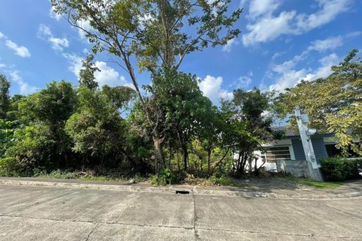 Land for Sale in Banilad, Cebu City, Cebu – photo 3