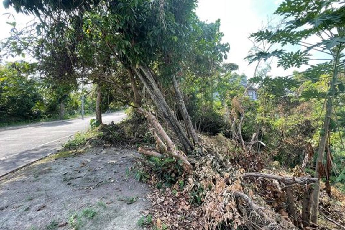 Land for Sale in Banilad, Cebu City, Cebu – photo 6