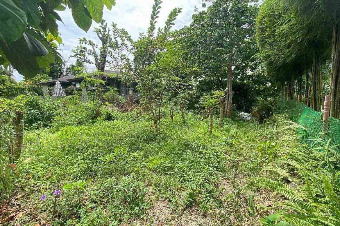 Land for Sale in Banilad, Cebu City, Cebu – photo 5