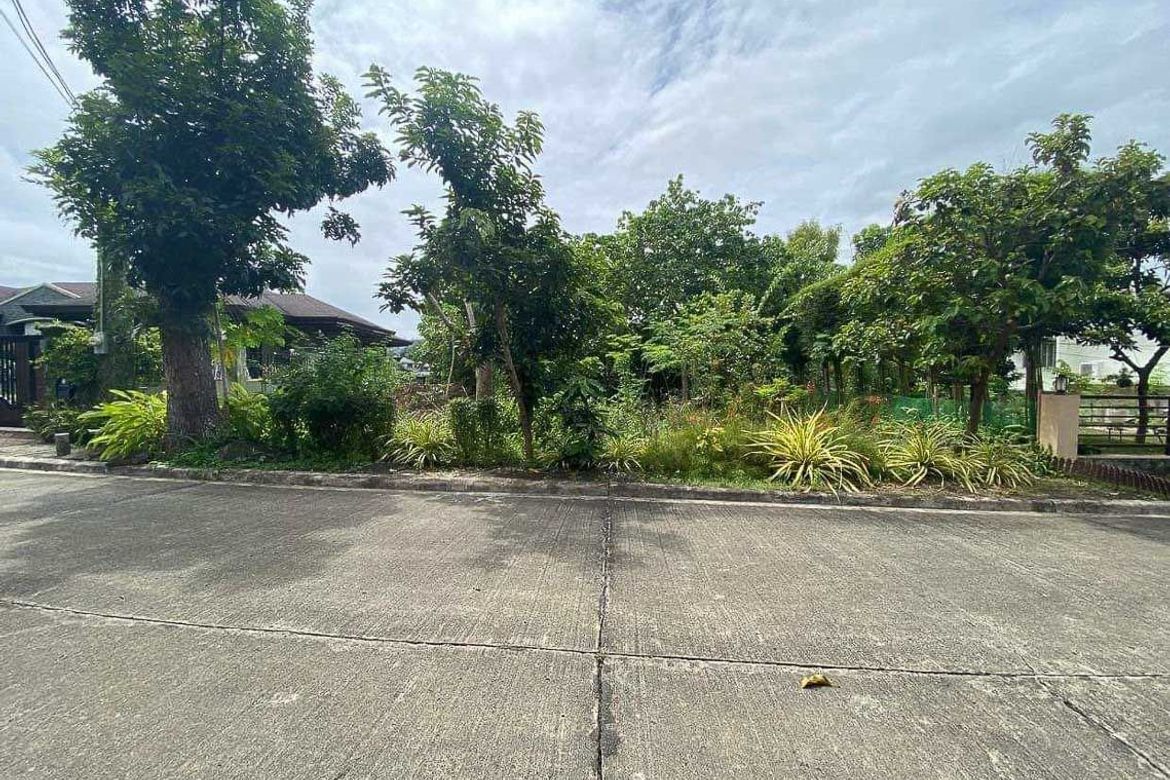 Land for Sale in Banilad, Cebu City, Cebu – photo 6