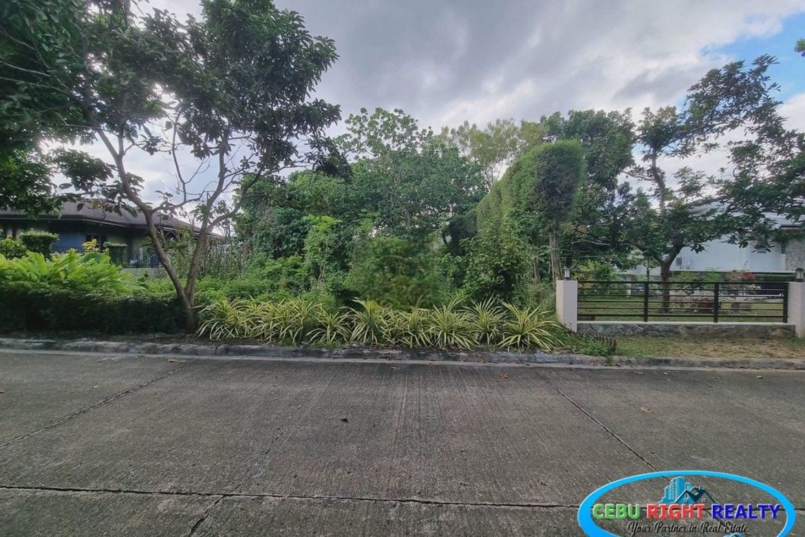 Land for Sale in Banilad, Cebu City, Cebu – photo 4