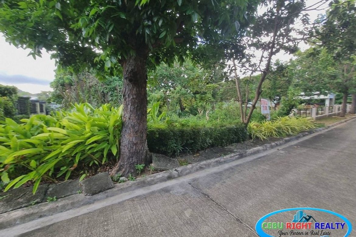 Land for Sale in Banilad, Cebu City, Cebu – photo 7