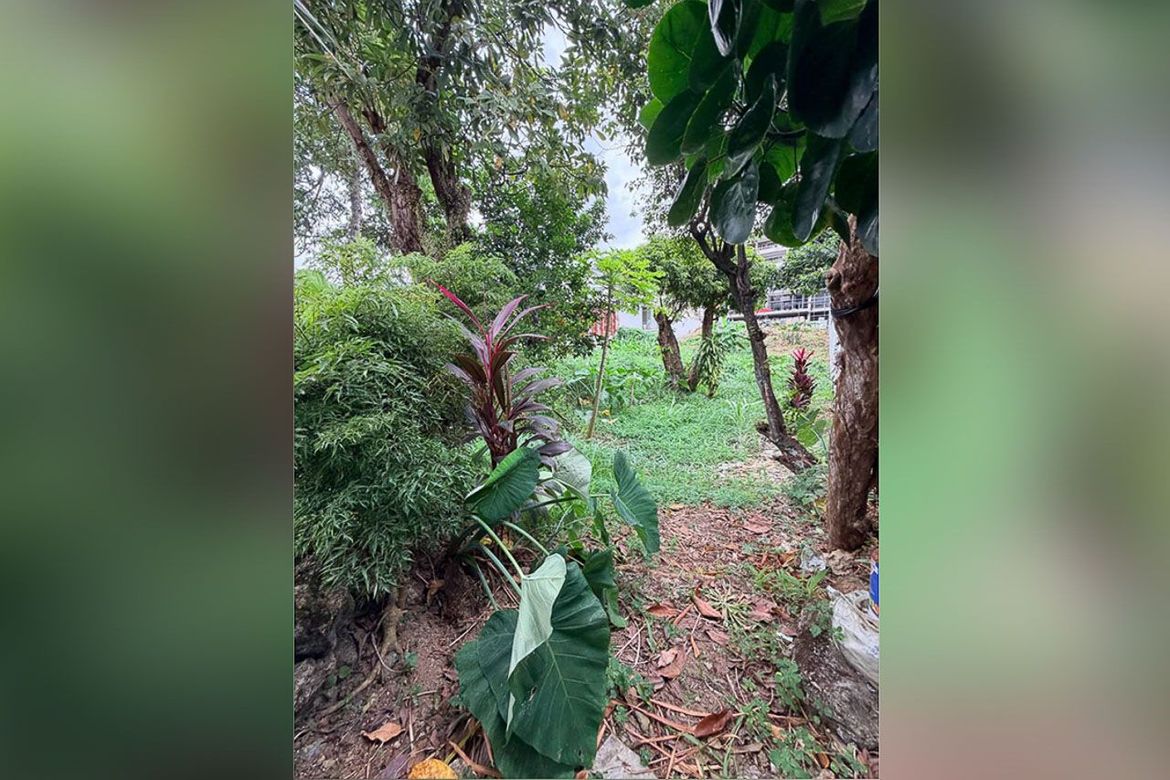 Land for Sale in Banilad, Cebu City, Cebu – photo 3