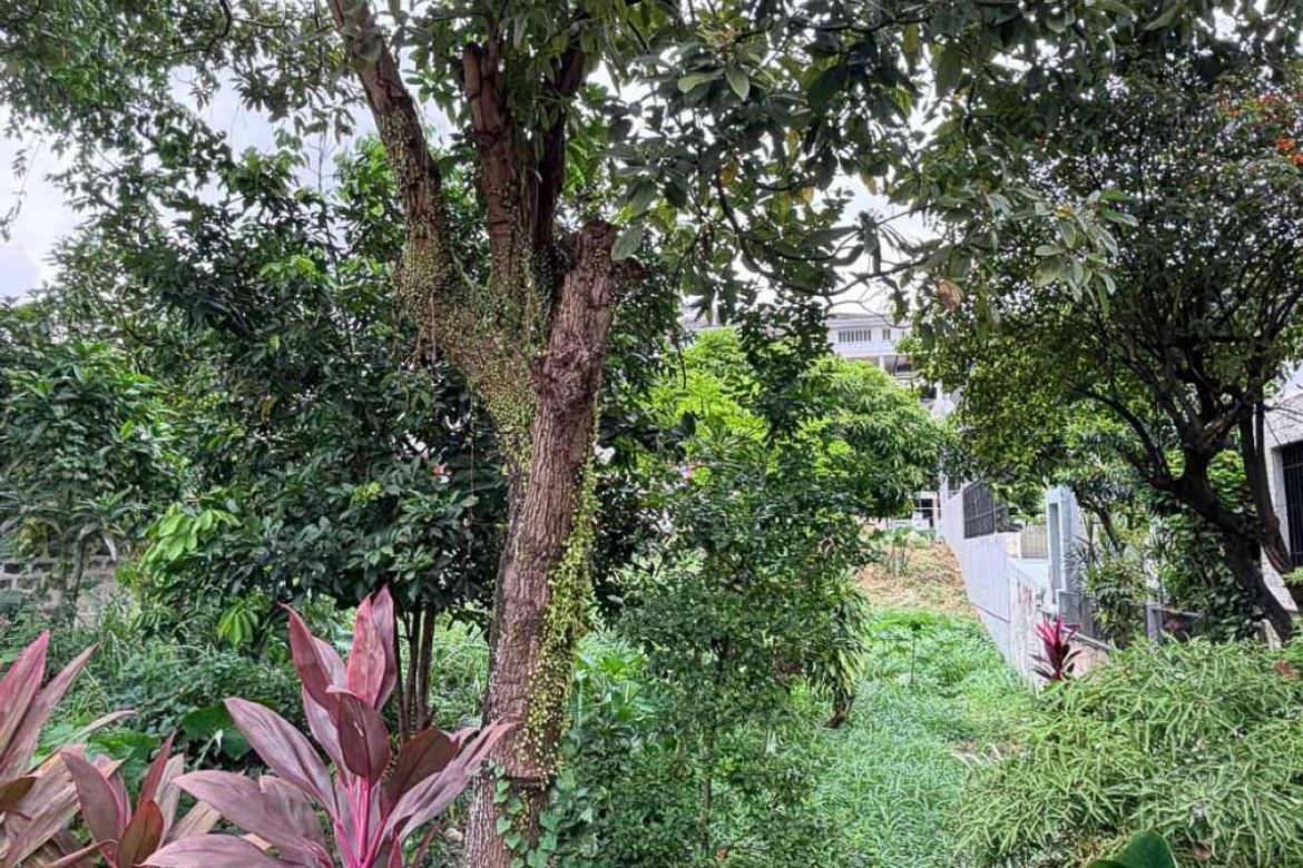 Land for Sale in Banilad, Cebu City, Cebu – photo 4