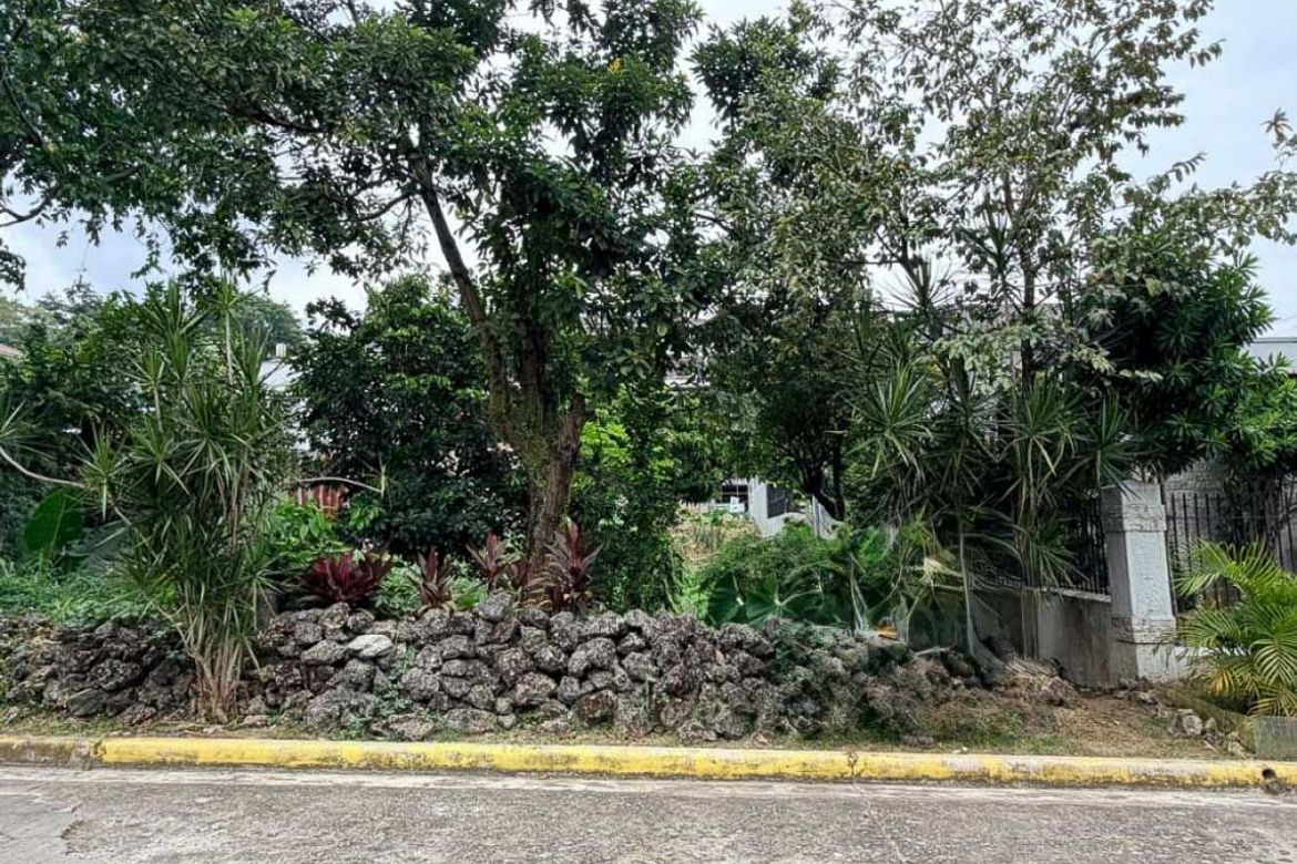 Land for Sale in Banilad, Cebu City, Cebu – photo 5