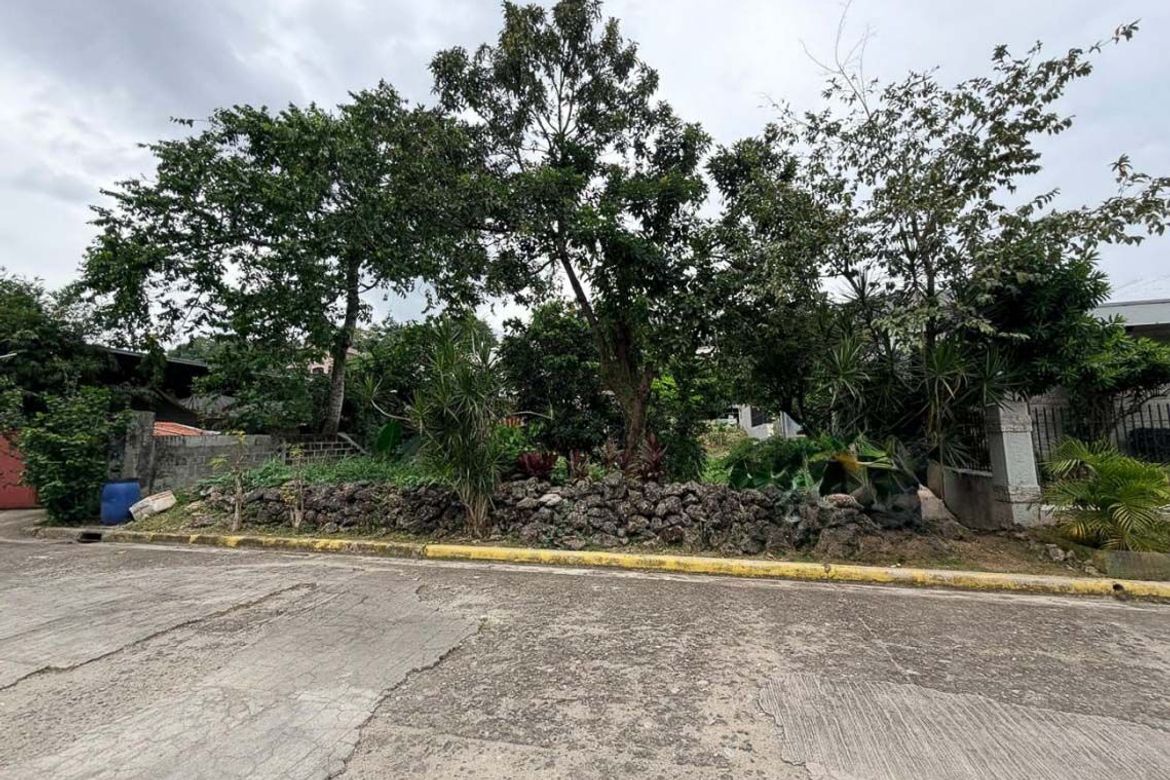 Land for Sale in Banilad, Cebu City, Cebu – photo 6
