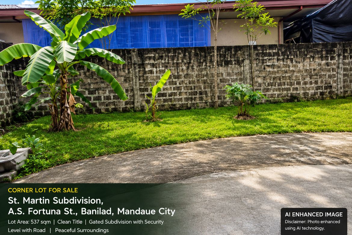 Land for Sale in Banilad, Mandaue, Cebu – photo 3