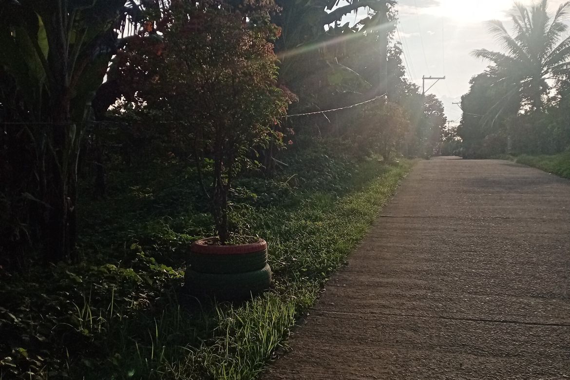 Land for Sale in Banjo Laurel, Tanauan, Batangas – photo 3