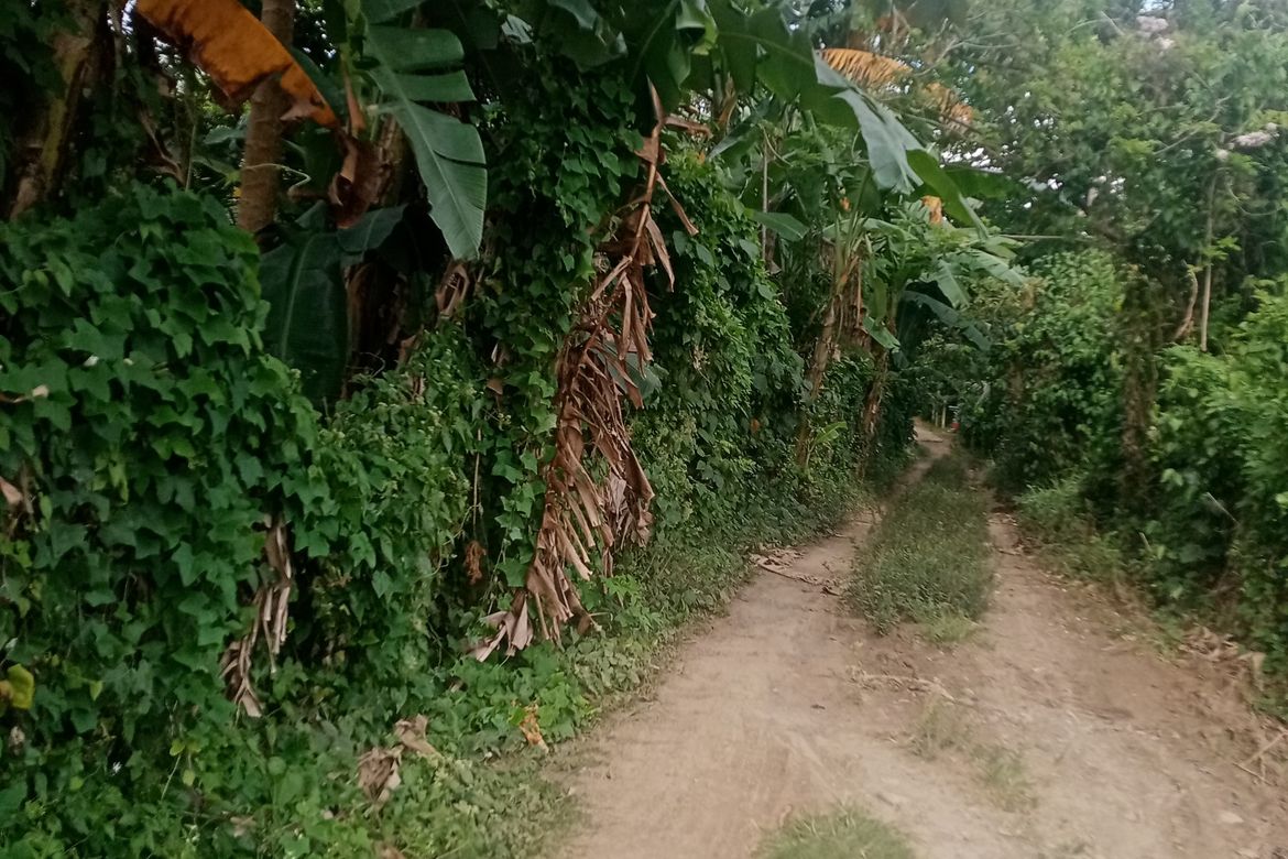 Land for Sale in Banjo Laurel, Tanauan, Batangas