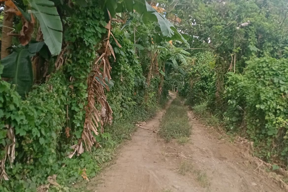 Land for Sale in Banjo Laurel, Tanauan, Batangas – photo 2