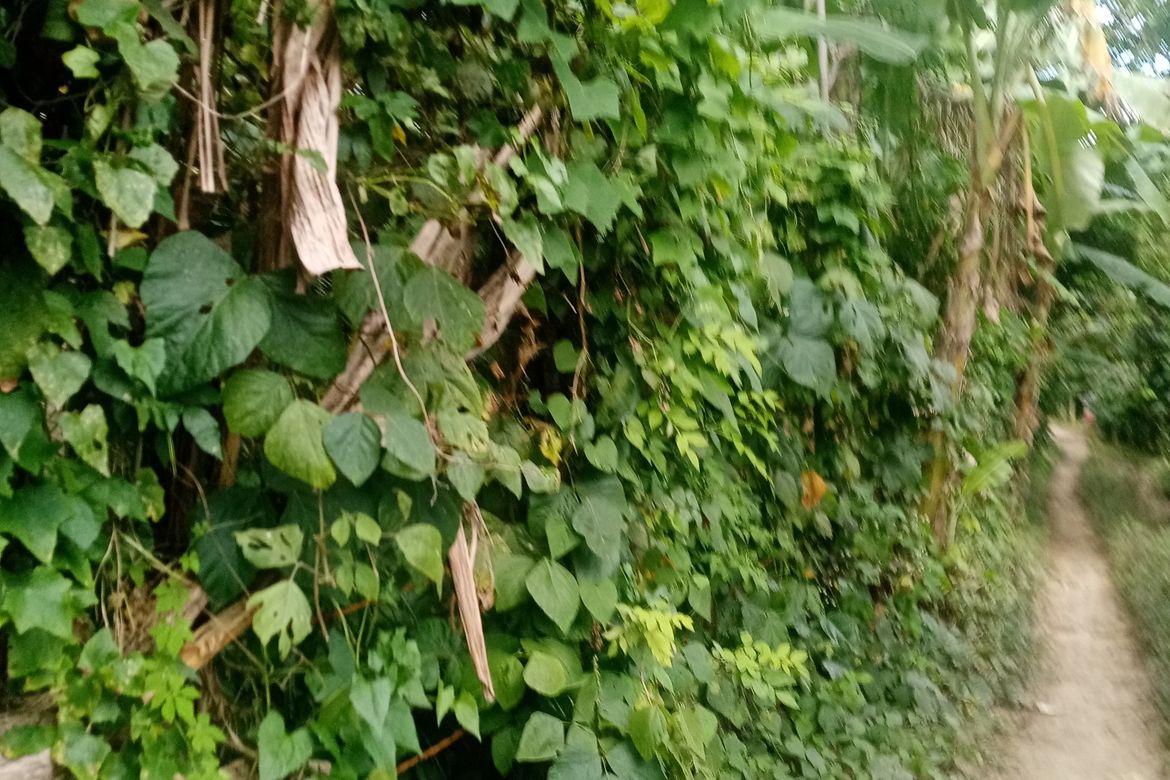 Land for Sale in Banjo Laurel, Tanauan, Batangas – photo 4