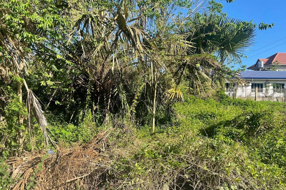 Land for Sale in Bankal, Lapu-Lapu, Cebu – photo 4