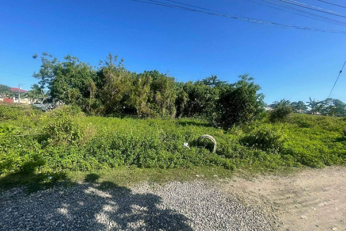 Land for Sale in Bankal, Lapu-Lapu, Cebu – photo 2
