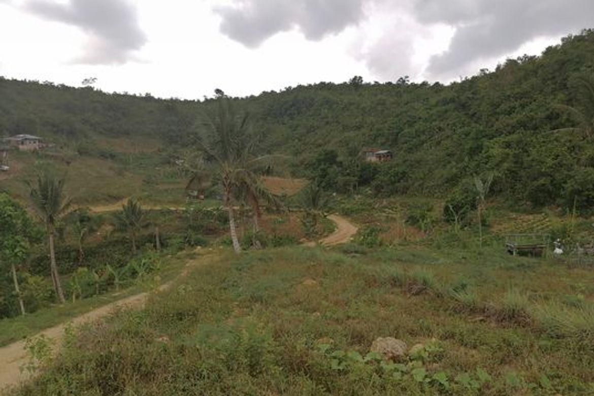 Land for Sale in Banlot, Sibonga, Cebu – photo 3