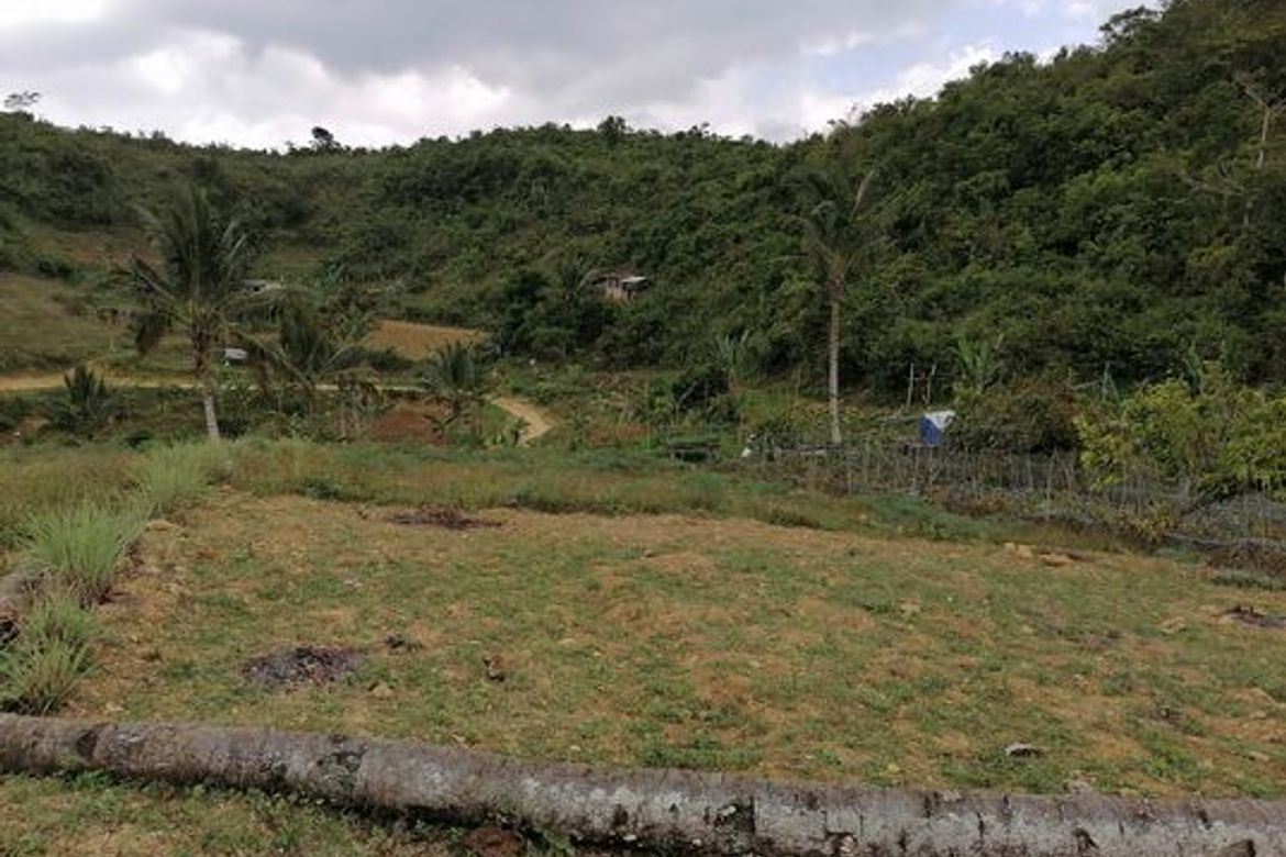 Land for Sale in Banlot, Sibonga, Cebu – photo 4
