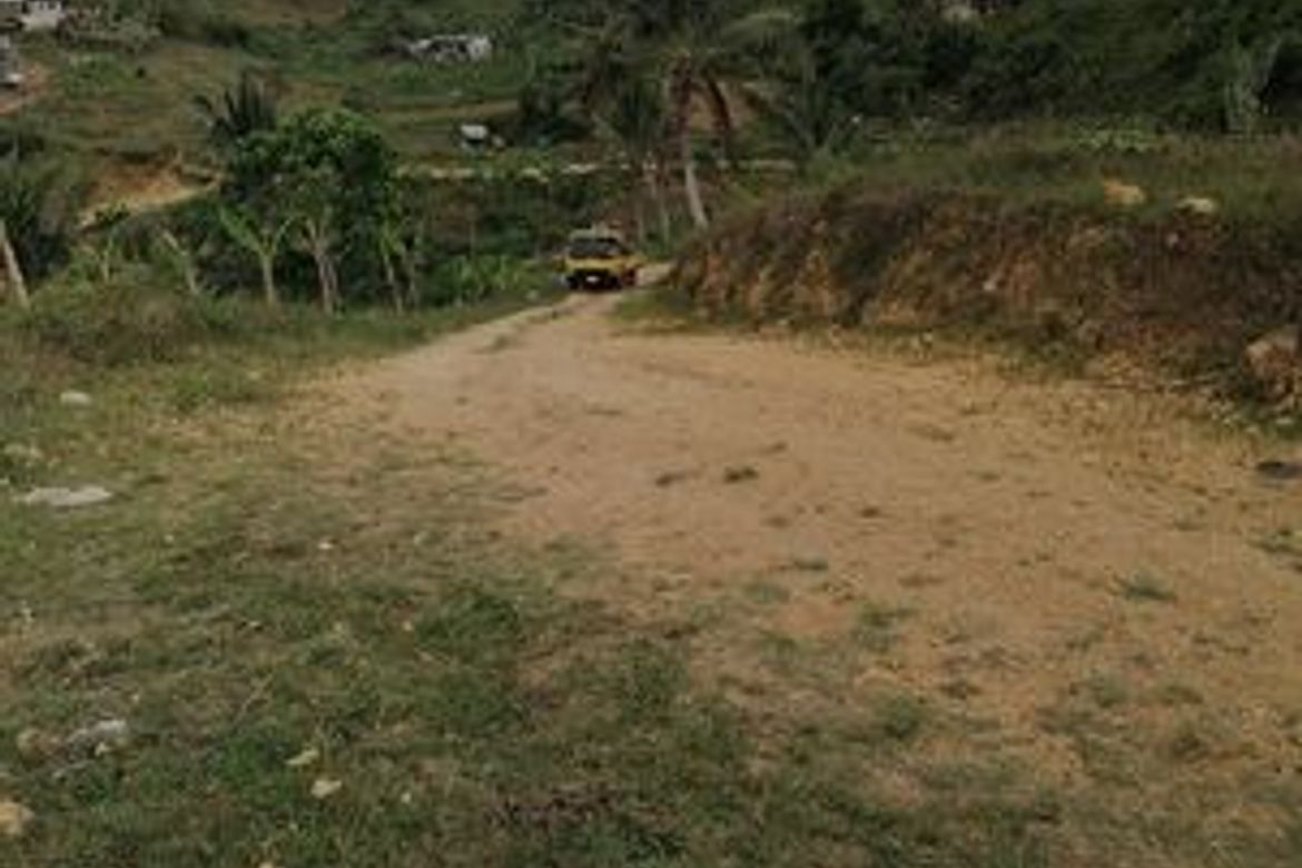 Land for Sale in Banlot, Sibonga, Cebu – photo 6