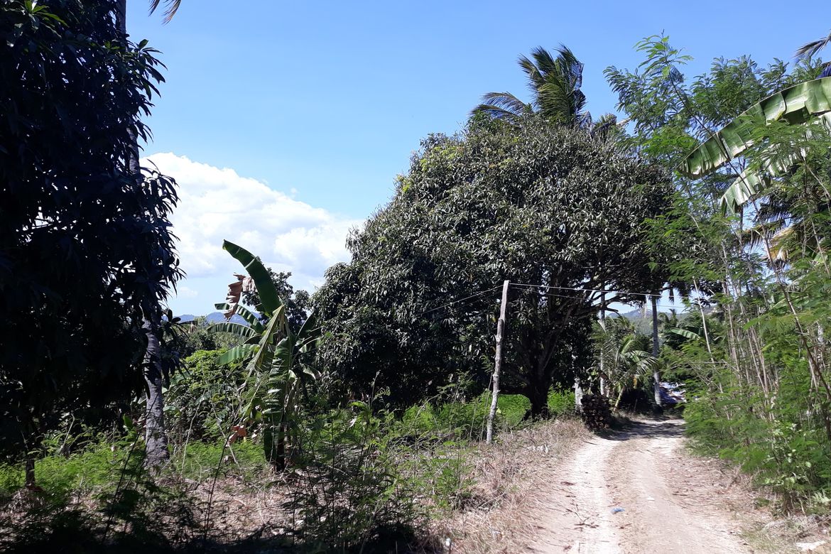 Land for Sale in Banlot, Sibonga, Cebu