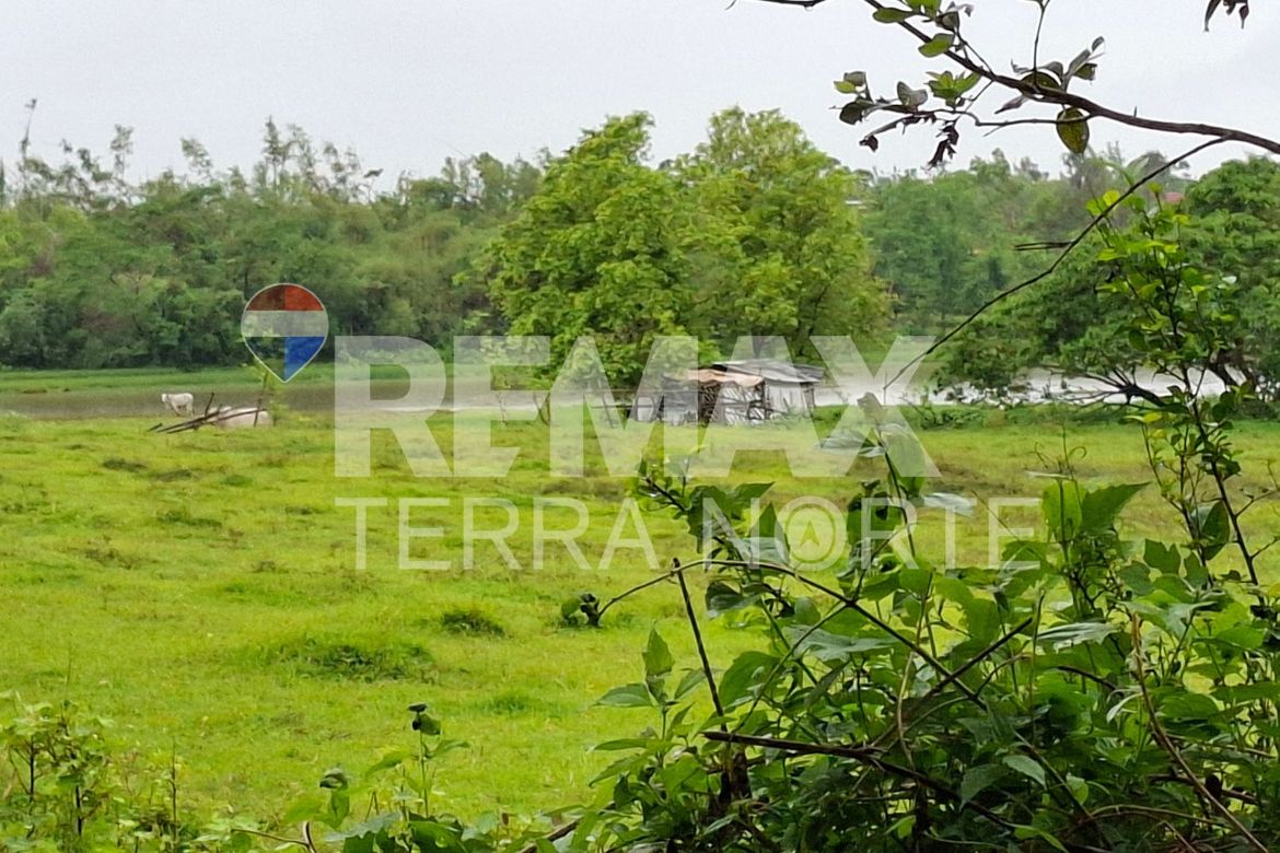Land for Sale in Banog Sur, Bani, Pangasinan