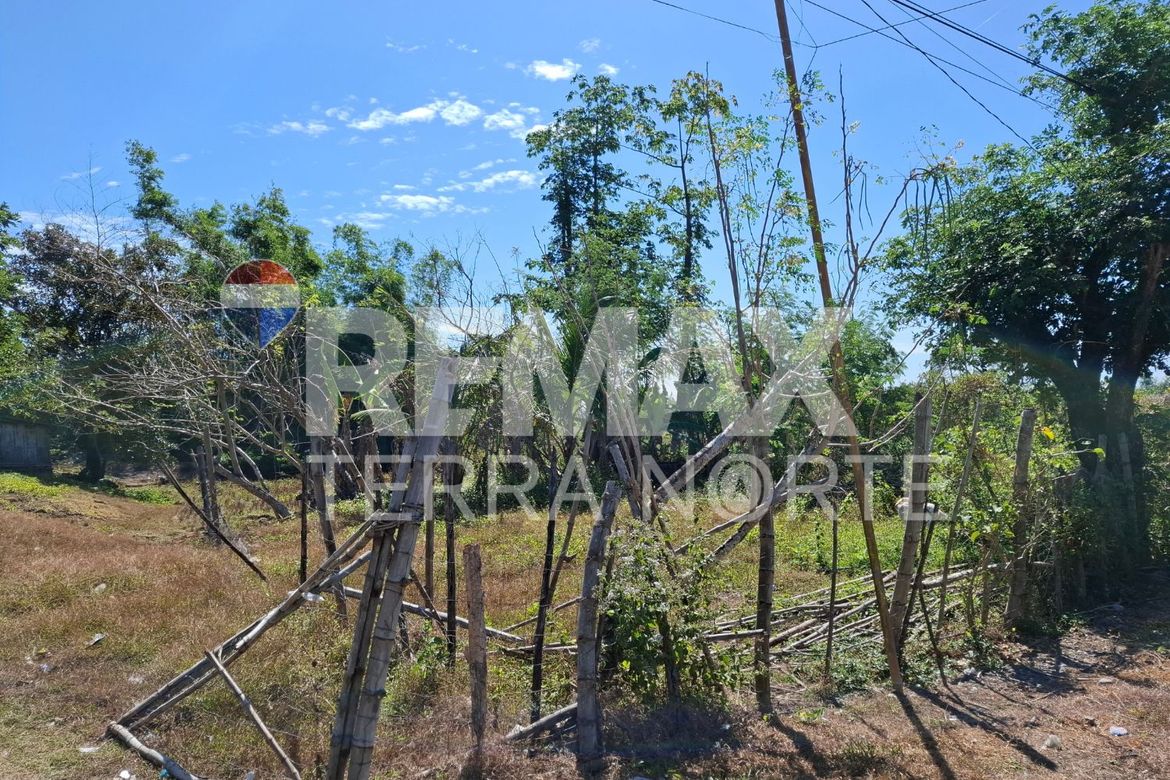 Land for Sale in Banog Sur, Bani, Pangasinan – photo 3