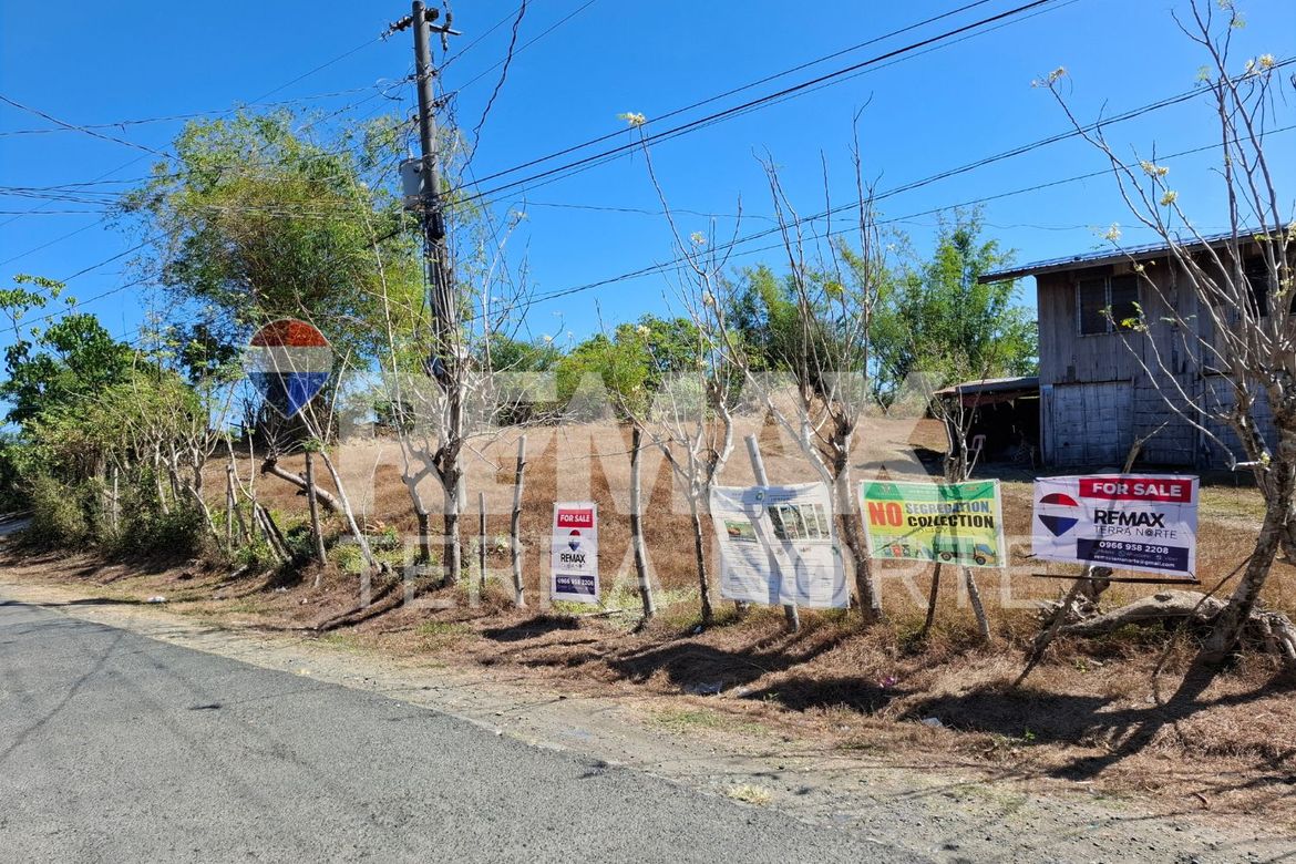 Land for Sale in Banog Sur, Bani, Pangasinan – photo 5