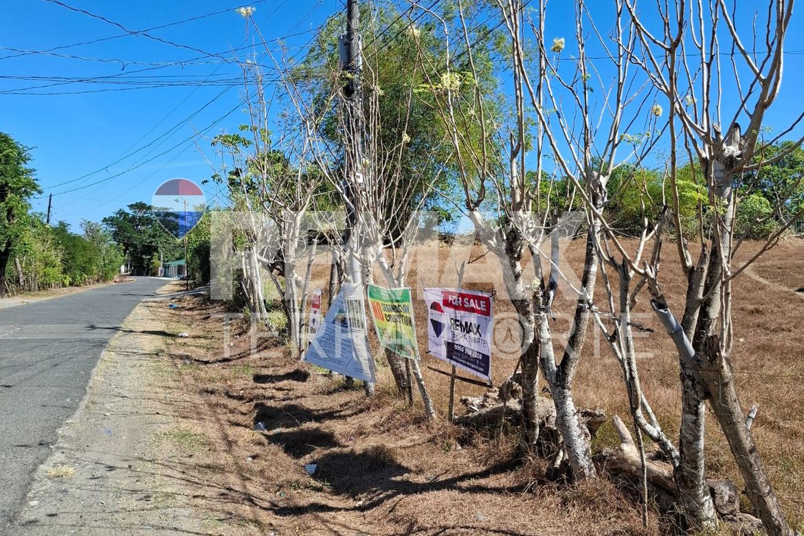 Land for Sale in Banog Sur, Bani, Pangasinan – photo 6