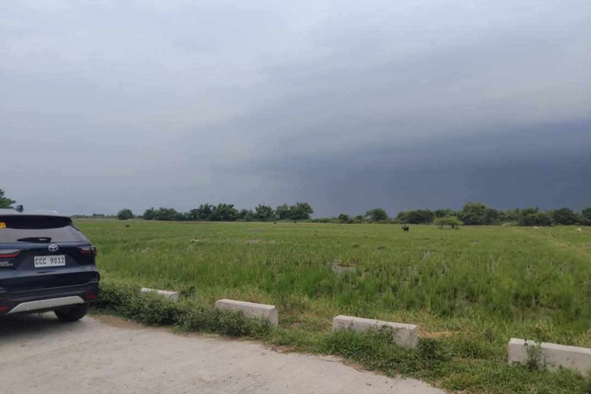 Land for Sale in Bantog, Tarlac, Tarlac